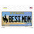 Best Mom Wyoming Wholesale Novelty Sticker Decal