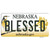 Blessed Nebraska Wholesale Novelty Sticker Decal