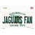 Jaguars Fan Florida Wholesale Novelty Sticker Decal