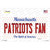 Patriots Fan Massachusetts Wholesale Novelty Sticker Decal