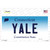 Yale Connecticut Wholesale Novelty Sticker Decal