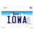 Iowa Wholesale Novelty Sticker Decal