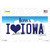 I Love Iowa Wholesale Novelty Sticker Decal