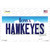 Hawkeyes Iowa Wholesale Novelty Sticker Decal