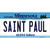 Saint Paul Minnesota State Wholesale Novelty Sticker Decal