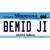Bemid Ji Minnesota State Wholesale Novelty Sticker Decal
