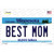 Best Mom Minnesota State Wholesale Novelty Sticker Decal