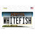 Whitefish Montana State Wholesale Novelty Sticker Decal