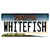 Whitefish Montana State Wholesale Novelty Sticker Decal