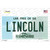 Lincoln New Hampshire State Wholesale Novelty Sticker Decal