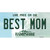 Best Mom New Hampshire State Wholesale Novelty Sticker Decal