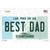 Best Dad New Hampshire State Wholesale Novelty Sticker Decal