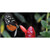 Butterfly On Red Flower Wholesale Novelty Sticker Decal