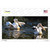 Pelican Two On Water Wholesale Novelty Sticker Decal