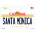 Santa Monica California Wholesale Novelty Sticker Decal