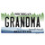 Grandma Michigan Wholesale Novelty Sticker Decal