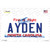 Ayden North Carolina State Wholesale Novelty Sticker Decal