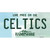 Celtics New Hampshire State Wholesale Novelty Sticker Decal