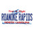 Roanoke Rapids North Carolina State Wholesale Novelty Sticker Decal