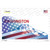 Washington with American Flag Wholesale Novelty Sticker Decal