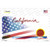 California Palm American Flag Wholesale Novelty Sticker Decal