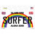 Surfer Hawaii Wholesale Novelty Sticker Decal
