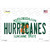 Hurricanes Wholesale Novelty Sticker Decal
