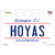Hoyas Wholesale Novelty Sticker Decal