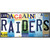 Raiders Strip Art Wholesale Novelty Sticker Decal