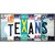 Texans Strip Art Wholesale Novelty Sticker Decal