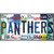 Panthers Strip Art Wholesale Novelty Sticker Decal