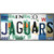 Jaguars Strip Art Wholesale Novelty Sticker Decal