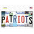 Patriots Strip Art Wholesale Novelty Sticker Decal