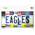 Eagles Strip Art Wholesale Novelty Sticker Decal