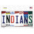 Indians Strip Art Wholesale Novelty Sticker Decal