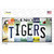 Tigers Strip Art Wholesale Novelty Sticker Decal