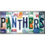 Panthers Florida Strip Art Wholesale Novelty Sticker Decal