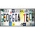 Georgia Tech Strip Art Wholesale Novelty Sticker Decal