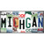 Michigan Strip Art Wholesale Novelty Sticker Decal