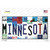 Minnesota Strip Art Wholesale Novelty Sticker Decal