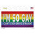 Im So Gay Wholesale Novelty Sticker Decal