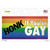 Honk If Youre Gay Wholesale Novelty Sticker Decal