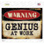 Genius At Work Wholesale Novelty Rectangle Sticker Decal