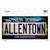 Allentown NY Blue Rusty Wholesale Novelty Sticker Decal
