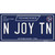 N Joy TN Tennessee Blue Wholesale Novelty Sticker Decal