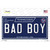 Bad Boy Tennessee Blue Wholesale Novelty Sticker Decal