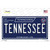 TN Tennessee Blue Wholesale Novelty Sticker Decal