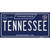 TN Tennessee Blue Wholesale Novelty Sticker Decal