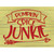 Pumpkin Spice Junkie Wholesale Novelty Rectangle Sticker Decal