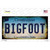 Bigfoot Connecticut Wholesale Novelty Sticker Decal